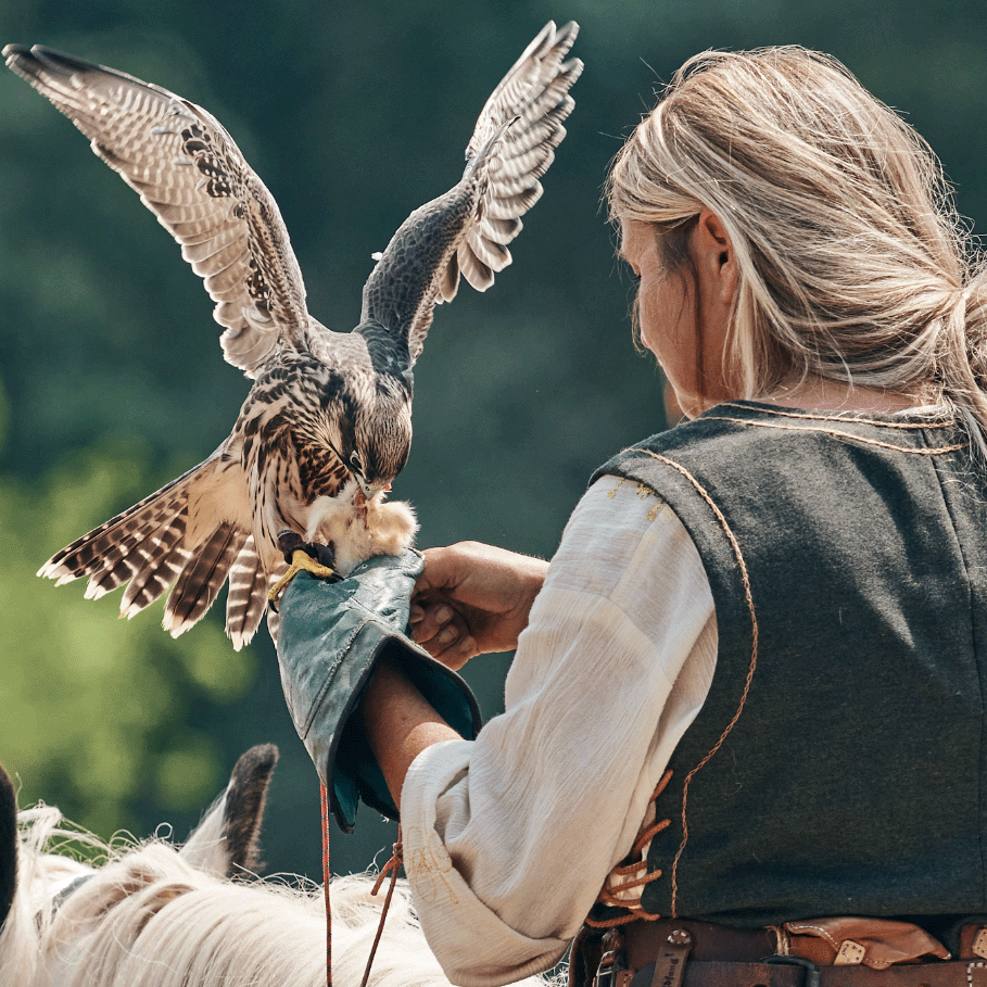 Ritter Recken Heldenspiele